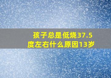 孩子总是低烧37.5度左右什么原因13岁