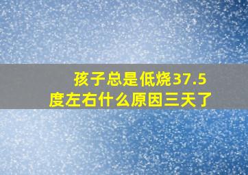 孩子总是低烧37.5度左右什么原因三天了