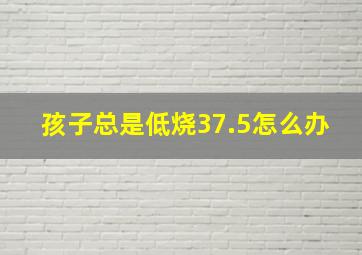 孩子总是低烧37.5怎么办