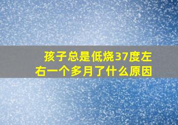 孩子总是低烧37度左右一个多月了什么原因