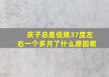 孩子总是低烧37度左右一个多月了什么原因呢