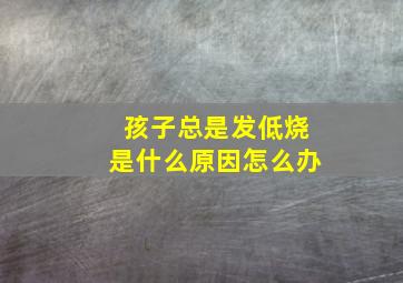 孩子总是发低烧是什么原因怎么办