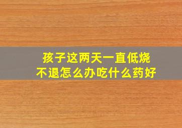 孩子这两天一直低烧不退怎么办吃什么药好