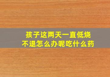 孩子这两天一直低烧不退怎么办呢吃什么药