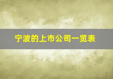 宁波的上市公司一览表