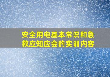 安全用电基本常识和急救应知应会的实训内容