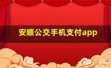 安顺公交手机支付app