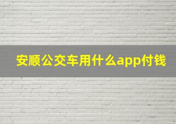 安顺公交车用什么app付钱