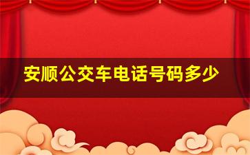 安顺公交车电话号码多少