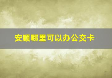 安顺哪里可以办公交卡