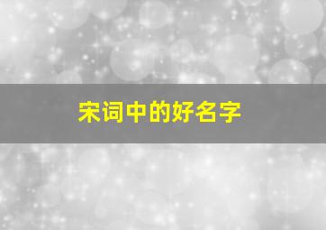 宋词中的好名字