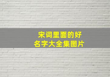 宋词里面的好名字大全集图片