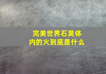 完美世界石昊体内的火到底是什么