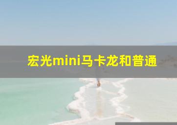 宏光mini马卡龙和普通