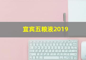 宜宾五粮液2019