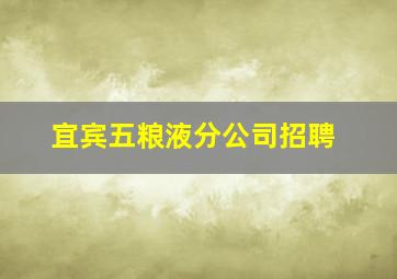 宜宾五粮液分公司招聘