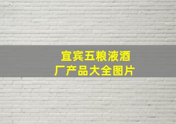 宜宾五粮液酒厂产品大全图片