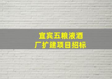 宜宾五粮液酒厂扩建项目招标