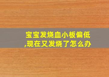 宝宝发烧血小板偏低,现在又发烧了怎么办