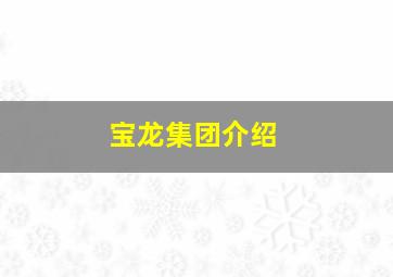 宝龙集团介绍