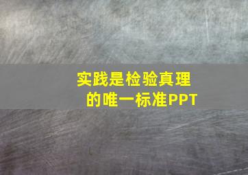 实践是检验真理的唯一标准PPT