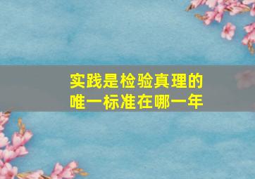 实践是检验真理的唯一标准在哪一年