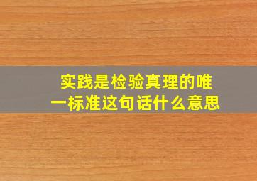 实践是检验真理的唯一标准这句话什么意思