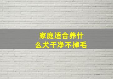 家庭适合养什么犬干净不掉毛