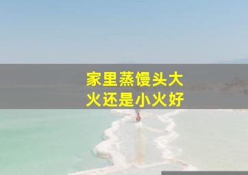 家里蒸馒头大火还是小火好