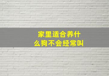 家里适合养什么狗不会经常叫