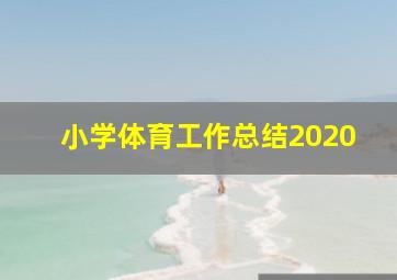 小学体育工作总结2020