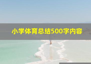 小学体育总结500字内容