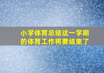 小学体育总结这一学期的体育工作将要结束了