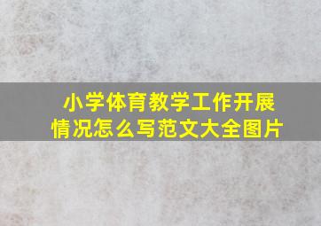 小学体育教学工作开展情况怎么写范文大全图片