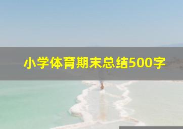 小学体育期末总结500字