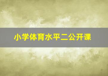 小学体育水平二公开课