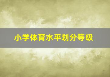 小学体育水平划分等级