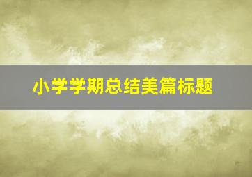 小学学期总结美篇标题