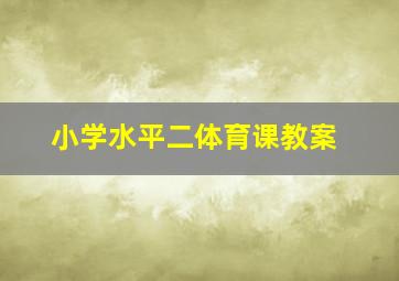 小学水平二体育课教案