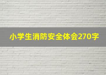 小学生消防安全体会270字