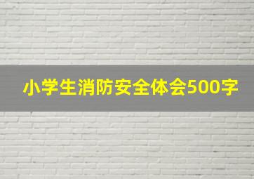 小学生消防安全体会500字