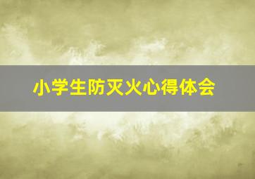 小学生防灭火心得体会