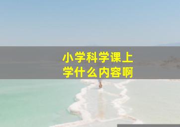 小学科学课上学什么内容啊