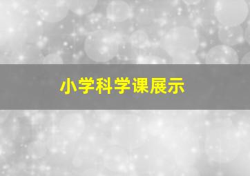 小学科学课展示