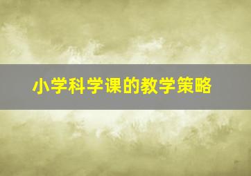 小学科学课的教学策略