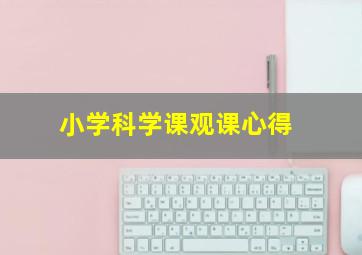 小学科学课观课心得