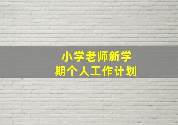 小学老师新学期个人工作计划