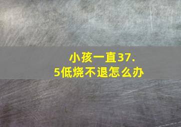 小孩一直37.5低烧不退怎么办