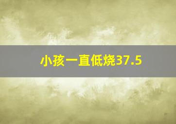 小孩一直低烧37.5