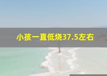 小孩一直低烧37.5左右